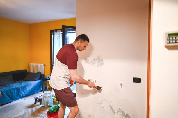 Best Mold Testing and Inspection Services in Monticello, NY